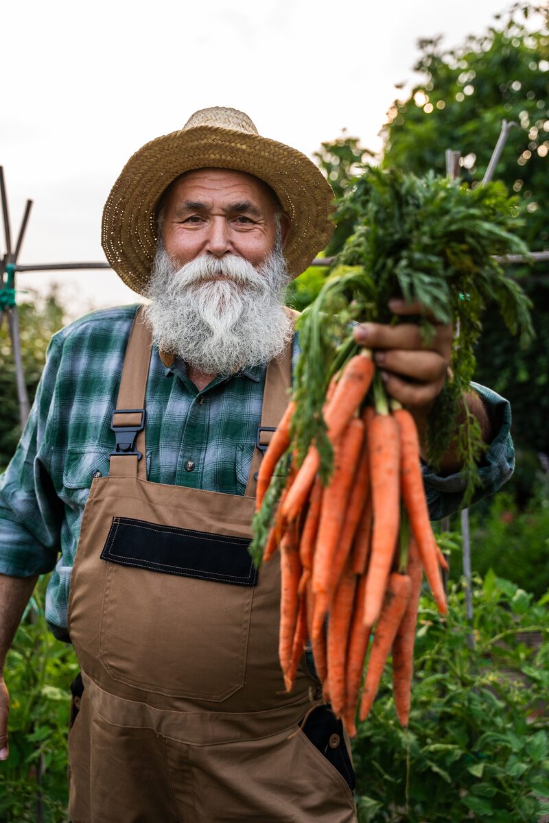 A smiling old English farmer holding carrots