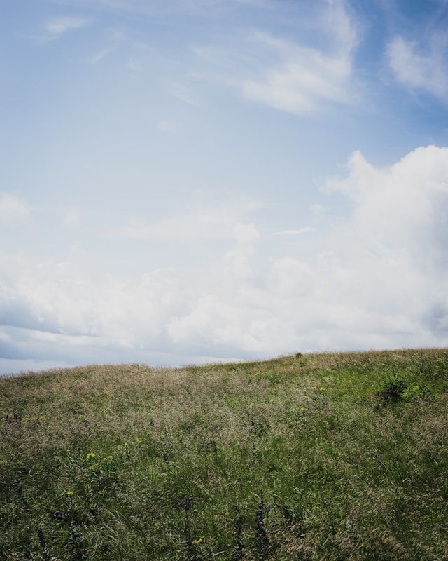 A grassy hilltop