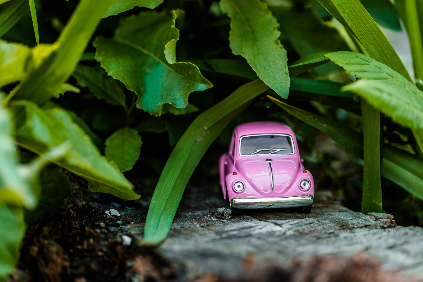 A foot next to a tiny car